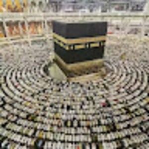 Meet your Posher, Ayesha